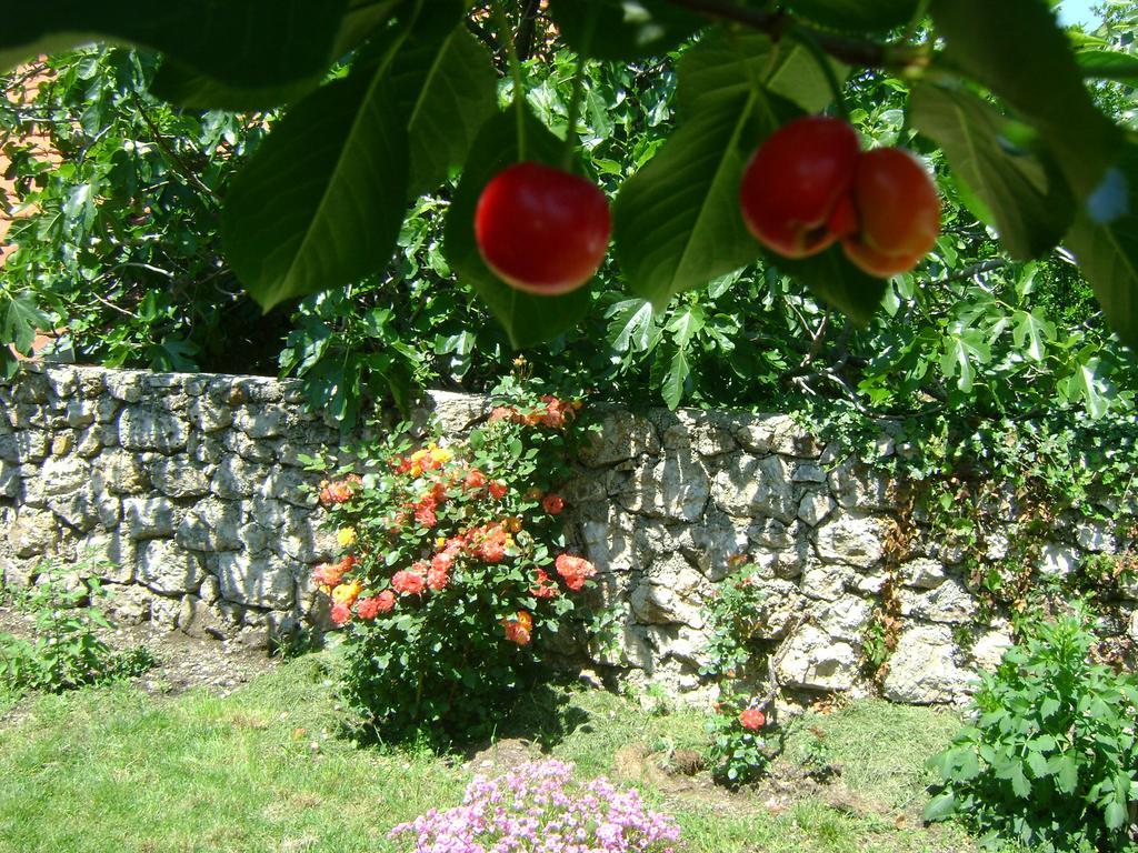 Guesthouse Sanja Mostar Bagian luar foto